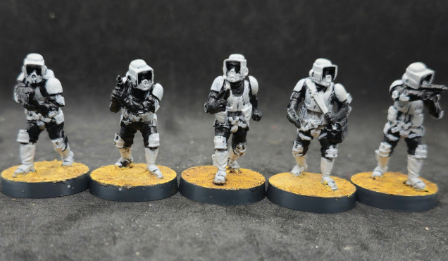 Scout trooper squad 