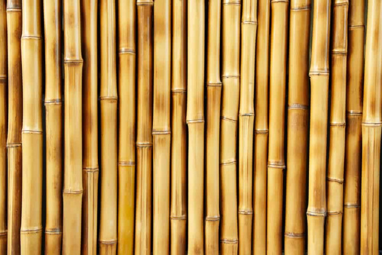 Comparison to real bamboo