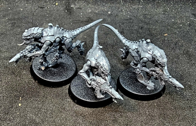 Termagants (3 pictured , 20 in set)