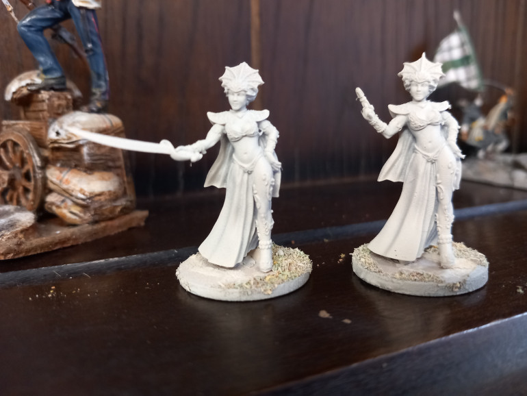 I 3D printed this mini from bombshell miniatures. I'm using one for stargrave and one for frostgrave