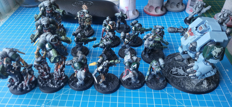 A selection of the 3rd company of the Wolves of Caliban with their shoulder decals.