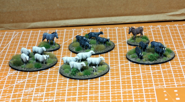 The sheep, goats and donkeys are all painted up and based.