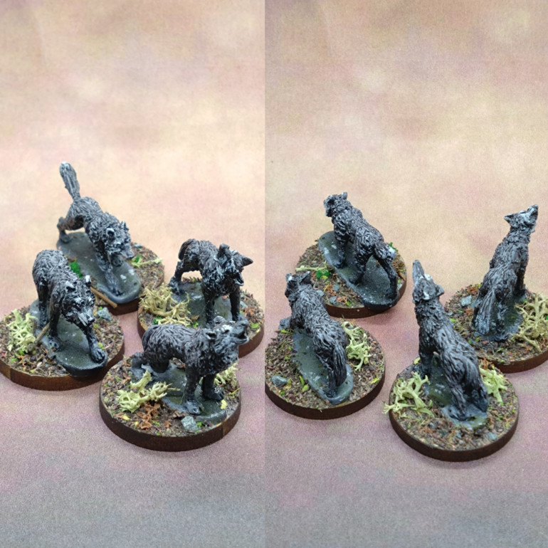 In scenario 1 I just used these dark wolves without basing or a proper paint job. Just black prime and grey zenith and the base painted brown. Happy with how they look now, but wasn't driven to do an amazing paint job. Just enough to call them done.