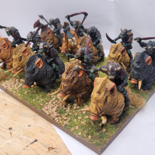 Boar (Gore) Riders