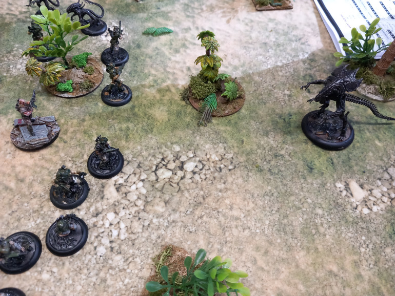 The Queen soaks up a lot of damage before slaughtering a squad