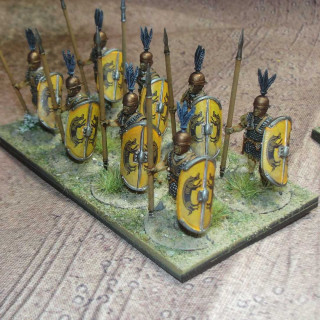 Republican Roman Infantry