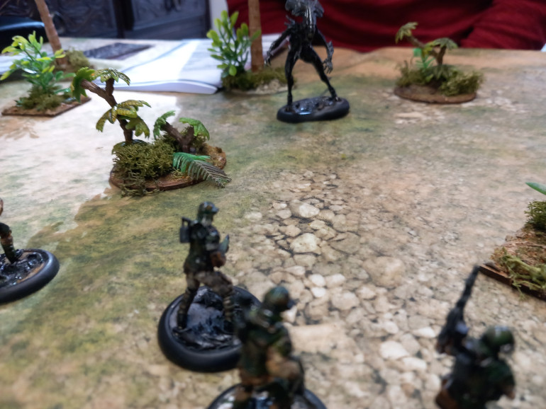 Battle report