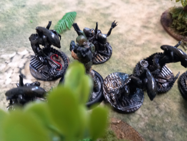 Stalkers have a hidden set up and use it to get close enough to finish the marines. The game ends with the queen and the power loader exchanging blows. The marines loose this one
