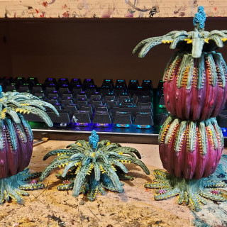 Giant pineapple ferns