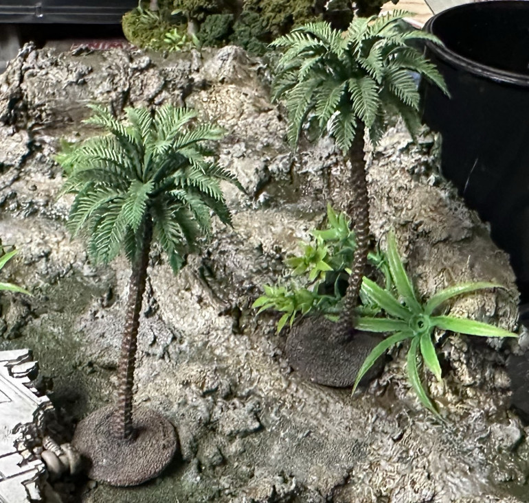 Tree 1 - Palm trees