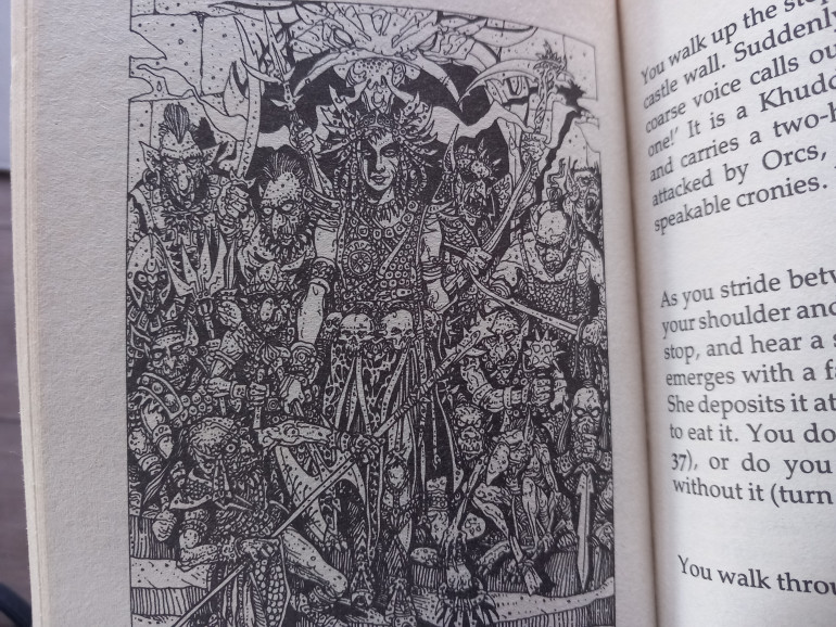 I love the detail of Nicholsons art and his warty orcs ang goblins are my favourite dort of gobo. I couldn't complete this adventure and I have to admit to giving as it didn't grab me despite the art.