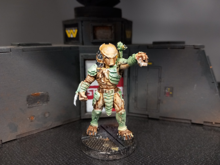 The original AvP comic story is still the best attempt at putting these two franchises together. It's set in the aliens universe for starters and not a stupid pyramid in the Arctic. I downloaded the free predator stl from papsikels and used it as an opportunity to paint him up in the comic book colours