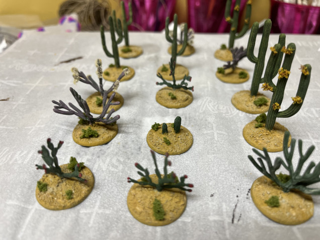 Gave the bases a light drybrush of Skeleton Bone, added some clump foliage then gave the cacti a matte varnish. 