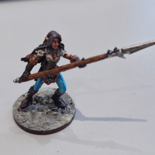 Asvor Fenjyre – Wood Elf Barbarian