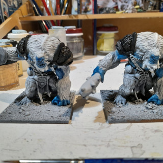 Yetis completed