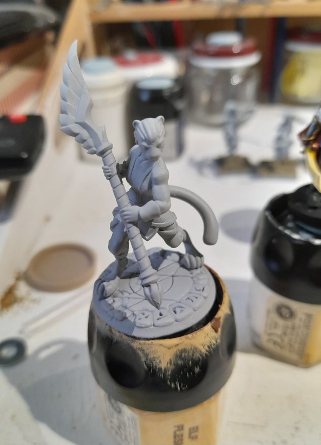 Skirmish Minis – Khajit warrior