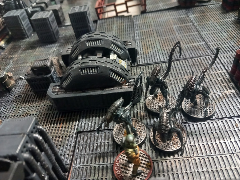 Crowe is abandoned by his mates and fails to reach the exit before the swarm gets him