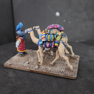 Creative clash of color on the camel backs