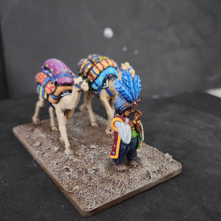 Creative clash of color on the camel backs