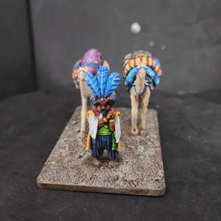 Creative clash of color on the camel backs