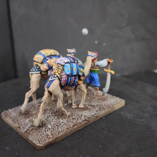 Creative clash of color on the camel backs