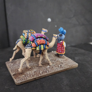 Creative clash of color on the camel backs