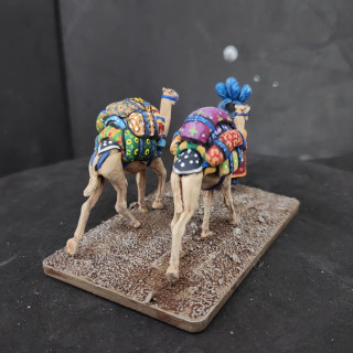 Creative clash of color on the camel backs