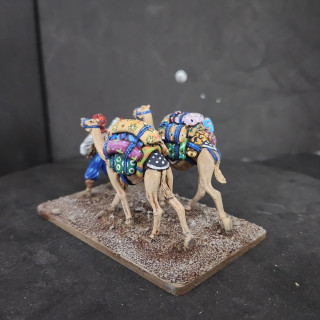 Creative clash of color on the camel backs