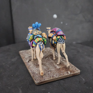 Creative clash of color on the camel backs