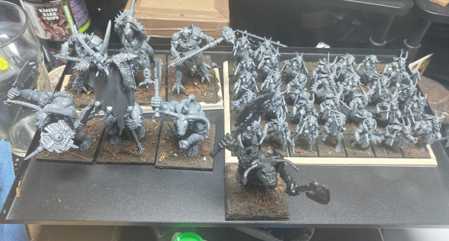 First wave of the herd ready for priming