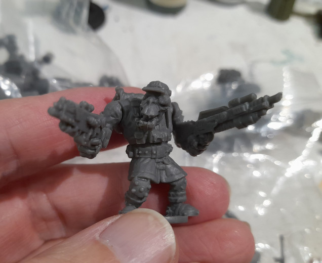 Deadzone Marauder (Ork)