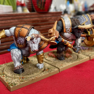 Mighty Minotaurs!