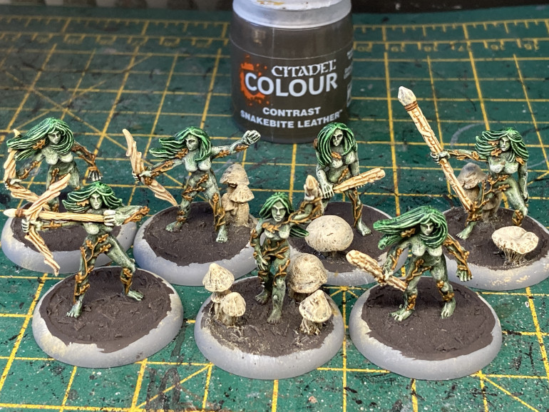 I then painted all the tiny leaves and vines with Snakebite Leather Contrast.