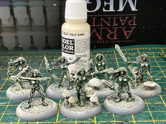 I gave the minis a drybrush of Pale Sand which really helped to bring the detail out.