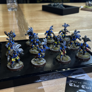 Salute Painting Competition - Peachey's Picks