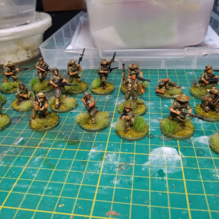 Bolt Action Aussies