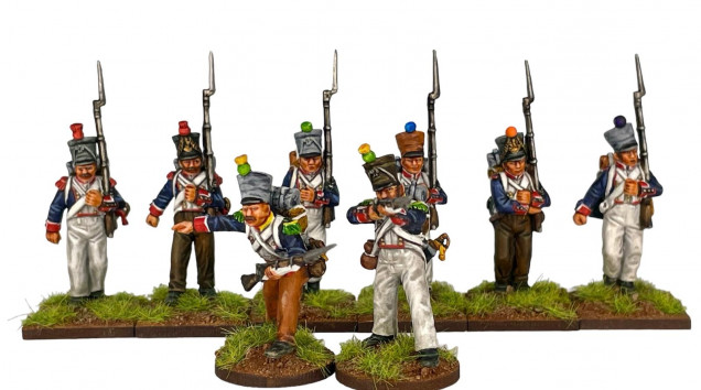 Perry French Line Infantry