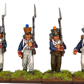 Perry French Line Infantry