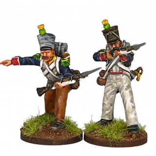 Perry French Line Infantry