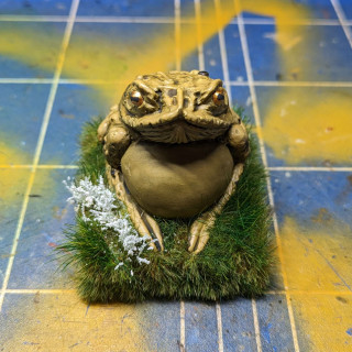 The Toad