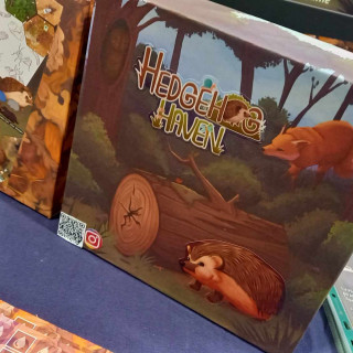 Build Yourself A Hedgehog Haven With Diary Of A Lincoln Geek | Stand 2-388