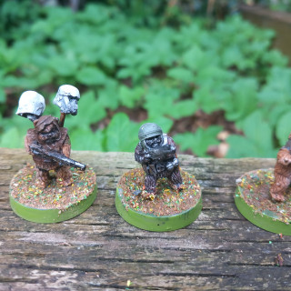 Ewok Reinforcements