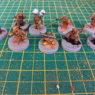 Ewok Reinforcements