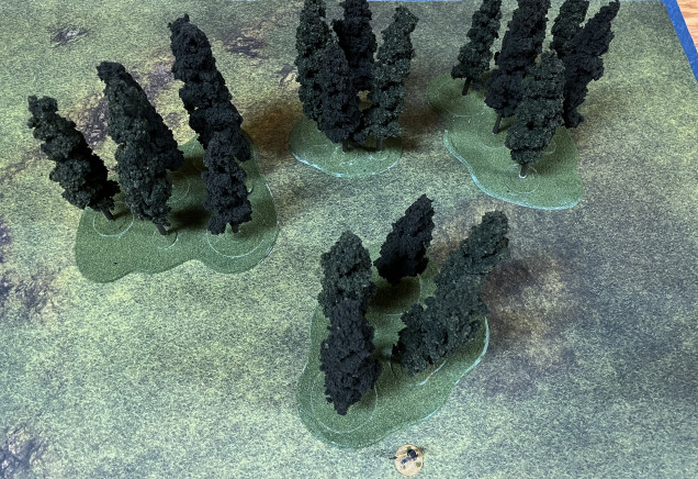 Overhead view of completed forests. I may go back and add some smaller bushes or clump foliage.  