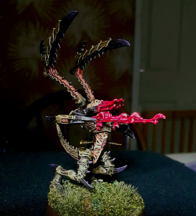 Finished Lictor