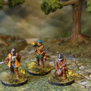 Painted Preacher, Villagers and More Reivers