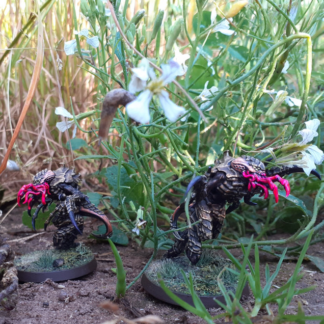 Slugs in the Grass