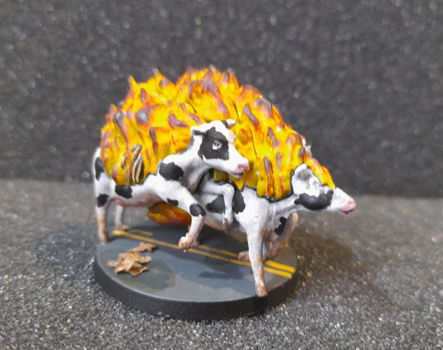 Flaming Cows arrive!