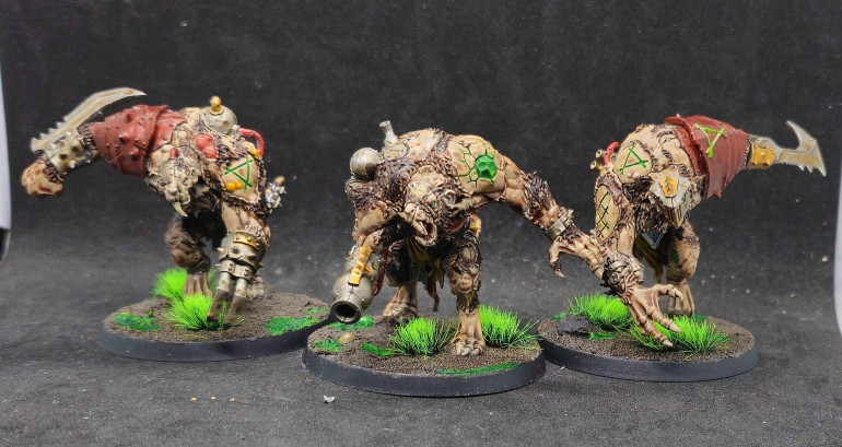 Rat ogors