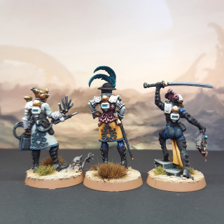 Elucidian Starstriders - Rogue Trader & Officers